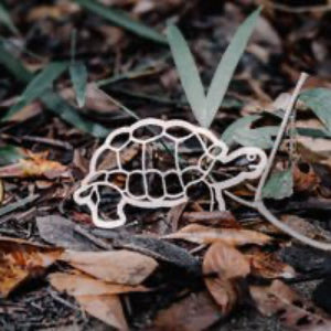 Kinfolk Pantry Tortoise Eco Cutter